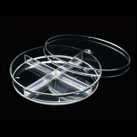 Négy részre osztott petricsésze