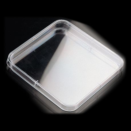 Szögletes petricsésze