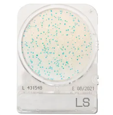 CompactDry™ LS for Listeria species